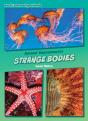 Strange Bodies - Preview