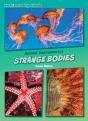 Strange Bodies - Preview