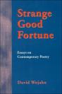 Strange Good Fortune - Preview