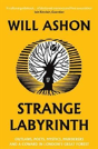 Strange Labyrinth - Preview