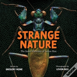 Capa do artigo Strange Nature