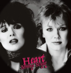 Capa do artigo Strange Night - CD