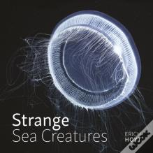 Strange Sea Creatures