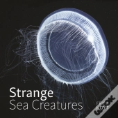 Strange Sea Creatures