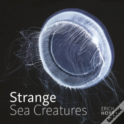 Capa do artigo Strange Sea Creatures