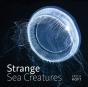 Strange Sea Creatures - Preview