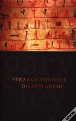 Capa do artigo Strange Tunnels Disappearing