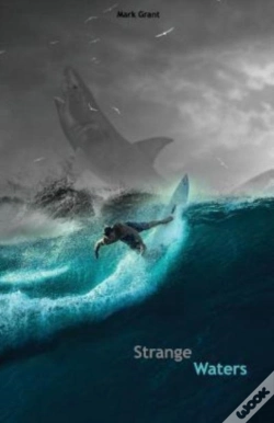 Capa do artigo Strange Waters: Intermediate Spanish Rea