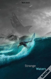 Capa do artigo Strange Waters: Intermediate Spanish Rea