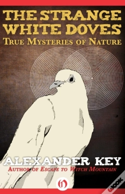 Capa do artigo Strange White Doves