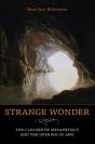 Strange Wonder - Preview
