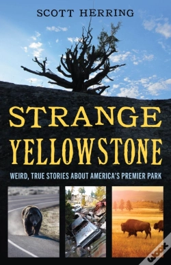 Capa do artigo Strange Yellowstone
