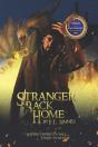 Stranger Back Home - Preview
