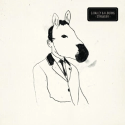 Capa do artigo Stranger - CD