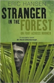 Capa do artigo Stranger In The Forest