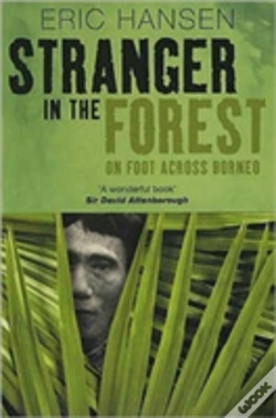Capa do artigo Stranger In The Forest