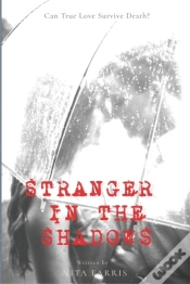 Capa do artigo Stranger In The Shadows