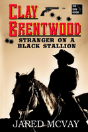 Stranger On A Black Stallion - Preview