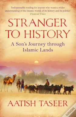 Capa do artigo Stranger To History