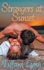 Strangers At Sunset - Preview