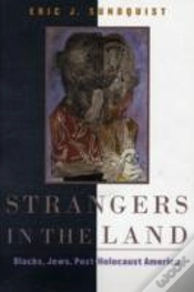 Capa do artigo Strangers In The Land