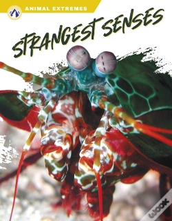 Capa do artigo Strangest Senses