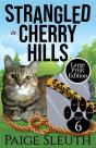 Strangled In Cherry Hills - Preview