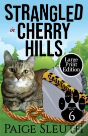 Capa do artigo Strangled In Cherry Hills
