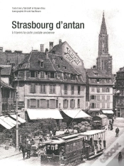 Capa do artigo Strasbourg D