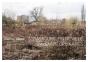 Strasbourg, Fin De Ville, Paysages Ordinaires - Preview