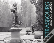 Capa do artigo Strasbourg ; Instants Insolites
