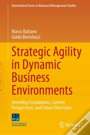 Capa do artigo Strategic Agility In Dynamic Business Environments