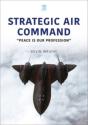 Strategic Air Command - Preview