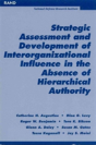 Strategic Assessment And Development Of Interorganizational Influence In The Absence Of Hierarchical Authority - Preview