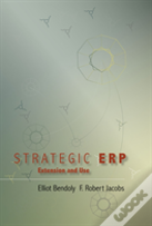 Strategic Erp Extension And Use