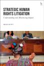 Strategic Human Rights Litigation - Preview