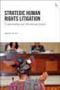 Strategic Human Rights Litigation - Preview