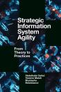 Strategic Information System Agility - Preview