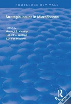 Capa do artigo Strategic Issues In Microfinance
