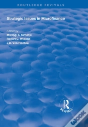 Capa do artigo Strategic Issues In Microfinance