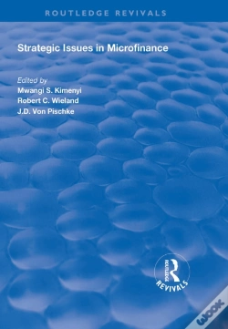 Capa do artigo Strategic Issues In Microfinance