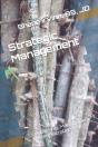 Strategic Management - Preview