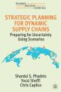 Strategic Planning For Dynamic Supply Chains - Preview