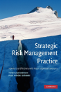 Strategic Risk Management Practice - Preview