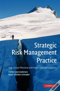 Capa do artigo Strategic Risk Management Practice