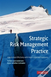 Capa do artigo Strategic Risk Management Practice