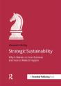 Strategic Sustainability - Preview