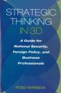 Strategic Thinking In 3d - Preview