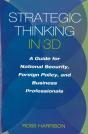 Strategic Thinking In 3d - Preview
