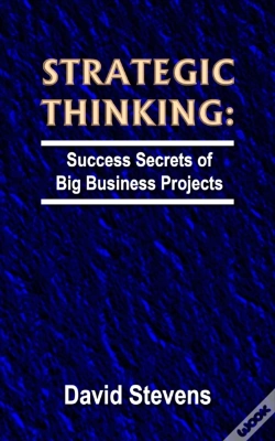 Capa do artigo Strategic Thinking: Success Secrets Of Big Business Projects